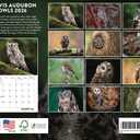 Travis Audobon Owl Calendar 2026 Wall Monthly Owls Gifts For Owl Lovers Women Men | American Made In The USA