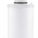 100186 Water Filter Replacement Compatible with Amway eSpring Water Purifier, CTC Activated Carbon, Effectively Adsorbs Harmful Elements, Retains Beneficial Minerals. Lasts 1 Year or Filters 1320 gal