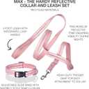 2 x 2-Pack MAX - The Hardy Reflective Dog Collar & 6ft. Leash for All Pet Breeds, Pink, X-Small