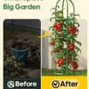 Joyhalo 2 Pack Trellis for Climbing Plants Outdoor, 6.2ft High Adjustable Garden Trellis for Flowers, Green Plastic Coated Steel Plant Stakes Use As Tomato Cage