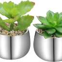 Briful Small Artificial Succulents in Pots Set of 2 Realistic Faux Succulents Plants with Silver Ceramic Pots Cute Mini Fake Plants Decor for Modern Home Table Office Desk Bathroom Shelf Decoration (Style #03)