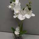 Jusdreen 1 Pcs Glass Vase Artificial Orchid Flower Bonsai Vivid Phalaenopsis Flowers Potting for Home Office Dcor,Table Centerpiece Room Decorations 14.5 INCH (Glass Vase/White Orchid)
