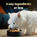 Cesar Simply Crafted Adult Wet Dog Food Toppers for Dry Food, Chicken, 1.3 oz Tubs, 10 Count (EXP 12/13/27)