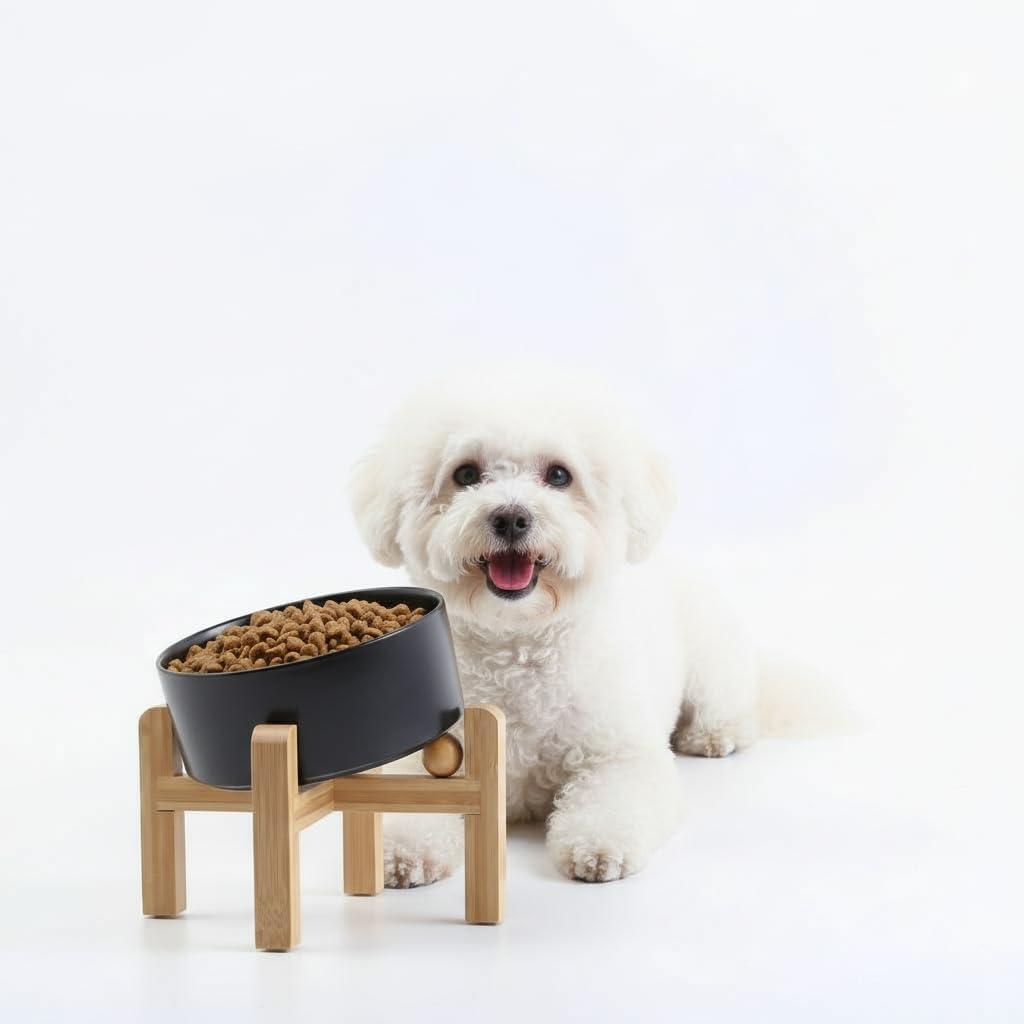 Petygooing Black Raised/Elevated 15Slanted Ceramic Dog Bowl for Small Breeds,Tilted Anti Slip Pet Feeding Bowl,Food Water Dish with Stand for Cats and Small Dogs Puppy 13.5 OZ (5.1In /1.7 Cups)