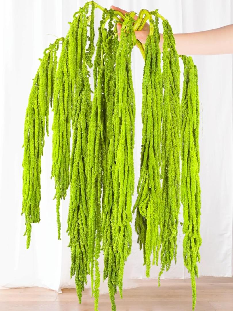7Pcs Green Dried Amaranthus Hanging Flowers - 100% Natural Dye Neon Green 23" Real Amaranthus , Preserved Dried Flowers for Wedding Arch Decor, Exhibition, Floral Arrangement