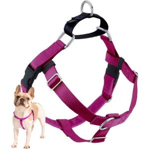 2 Hounds Design Freedom No Pull Dog Harness, Adjustable Harness, Easy Walking & Comfortable Control, Fits Small, Medium & Large Dogs, Solid Colors, Made in USA, 1" MD, Raspberry