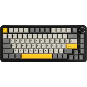 AJAZZ AK820 MAX HE Hall Effect Magnetic Gaming Keyboard, Adjustable Actuation, 8KHz Polling Rate, Wired Rapid Fast Keyboard, Creamy Gasket, RGB Backlight, NKRO for Win/Mac (Black)
