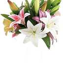 12 Heads Artificial Lily Flowers Fresh Look, Wedding Hotel Party Home Decor Decorative Flowers Bouquet, Lily 8 Heads Full Bloom Lily and 4 Buds Brilliant Color Very Similar to the Natural Flower