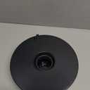 Brine Shrimp Hatchery Dish