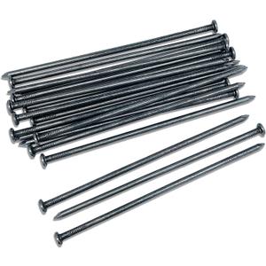 Landscape Stakes 10 Inch Metal Landscape Edging Anchoring Spikes, 100PCS Landscape Paver Edging Anchoring Stake for Paver, Weed Barriers, Turf, House Construction, Tent, Camping