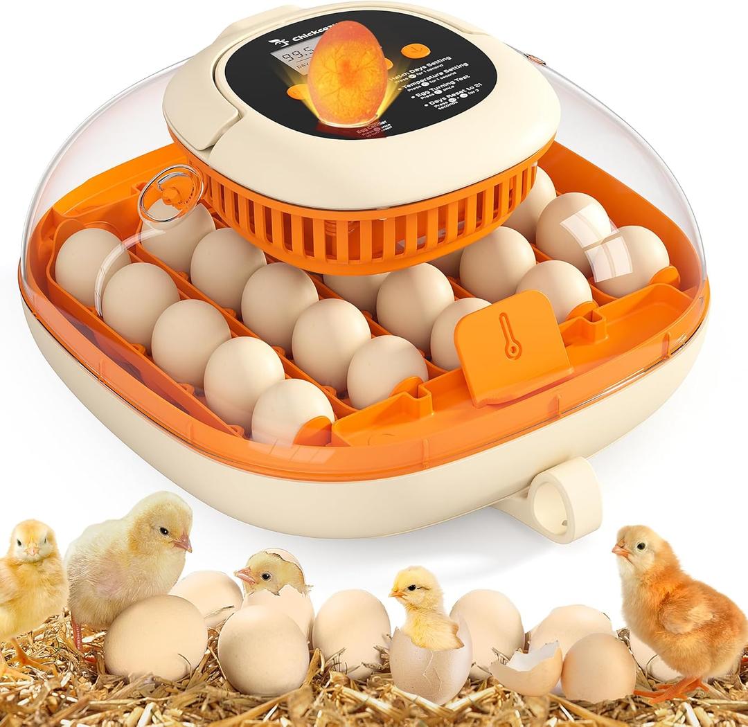 Chickcozy 25 Egg Incubator, Automatic Egg Turner with Thermometer Seat and Humidity Control, Egg Candler, 360 View with Clear Window, Incubators for Hatching Chicks (Sunlit Orange)