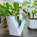 Tipsy Frog Pot Hugger, Frog Garden Decor Outdoor Statue, Resin Frog Figurines for Plant Decorations, Miniature Garden Frogs Gift for Nature Lovers (Brown)