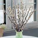 20 Stems Real Dried Pussywillow Preserved Greenery Branches for Vase- Natural Pussywillows with White Flowers, Snow Willow Branches for Easter Wedding Home Party Hotel Fireplace Yard Decor