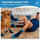 2 x Non-Slip Dog Socks & Owner Sock Set- Extra-Grip, Paw Protection for Senior & Active Dogs(Blue,2XL)