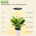 Full Spectrum Grow Light for Indoor Plants, 144 LEDs Halo Plant Light with Auto On/Off Timer (4/8/12H), 10-Level Brightness, 3 Lighting Modes, for Small Plants & Seedlings (Black, Dual Head)