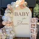Baby in Bloom Backdrop Sign, Champagne Balloon Arch Background Sticker with Decorations, Baby Shower Photo Background