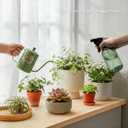 OFFIDIX Watering Can for Indoor Plants,Long Spout Metal Stainless Steel 21 oz Small Indoor Plant Watering Can with 14 oz Glass Plant Mister Spray Bottle for Inside