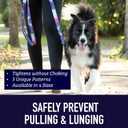 Leash Boss Martingale Collar for Dogs - Steel Chain | Reflective Nylon Dog Collar for Large Dogs, Medium and Small Dogs | No Pull Pet Training Collar Small (Medium-Large (16-19" Neck x 1" Wide), Purple/Pink - Space)