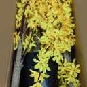 6Ft Tall Artificial Forsythia Tree, Fake Tree Faux Silk Plant with Plastic Nursery Pot,Artificial Plants for Home Office Indoor Decor(Yellow)