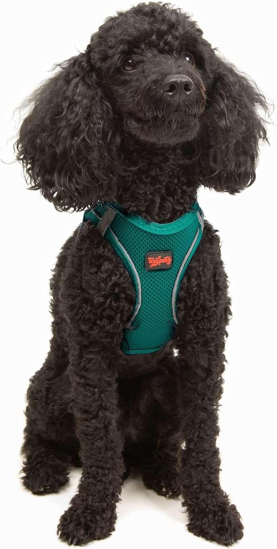 Tailpetz Dog Harness with Breathable Mesh, Reflective, Step-in, No Pull Dog Vest Harness for Small and Medium Dogs and Cats, Emerald, XS (X-Small (Chest:14"-16"), Dark Green)