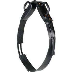 HORZE Vaulting Surcingle, One Size