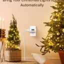 BN-LINK Indoor Digital Timer Outlet,24 Hour Light Timer Easy Programmable,Mini 2 Prong Plug in Timers for Electrical Outlets,Lamps,Fans,2 On/Off Programs,2 Pack,15A/1875W, ETL Listed