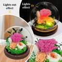 Mothers Day Flowers Gifts for Mom,Preserved Rose Carnation Flowers Gifts for Women, Real Flowers Bouquet in Glass Dome with Light, Birthday Gifts for Mom Wife Mothers Day Anniversary