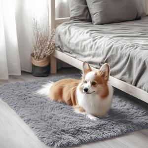 OLANLY 2x3 Machine Washable Small Bedside Rug, Soft Fluffy Shaggy Entryway Throw Rugs for Bedroom, Living Room, Indoor Floor Carpet for Kids Girls Boy, Nursery Rooms, Home Decor Aesthetic, Light Grey