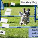 100pcs White Flag Blank Flags Small Mini Plain White 8.3 * 5.5in Marking DIY Flags On Stick,for Party Decorations for Parades,Grand Yard,Birthday,Dog Training Party Events (100)