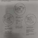 Fincome Bounce House, Castle Style, White