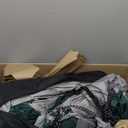 CAMPROS CP Tent 8 Person Camping Tents, Weather Resistant Family Tent, 5 Large Mesh Windows, Double Layer, Divided Curtain for Separated Room, Portable with Carry Bag (Dark Green)