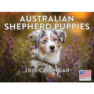 Australian Shepherd Puppy Calendar 2026 Monthly Wall Calender 12 Month | American Made In The USA