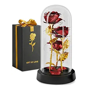 Kotko Rose in Glass Dome – Beautiful Glass Rose Flower Lights, for Women, Gifts for Mom, Romantic Occasions, Mother's Day, Women's Day – Home Decor | Flowers Roses with LED Light