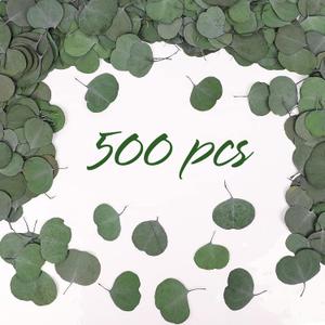 Real Eucalyptus Leaves for Shower 500PCS Green Dried Eucalyptus Leaves Bulk for Wedding Home Party Bridal Showers Baby Shower DIY Garland Cake Table Center Spring Decorations