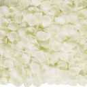 Ouddy Decor 3000 Pcs Rose Petals Artificial Flowers for Valentine's Wedding Decor Romantic Night Bridal Party Home Decorations, Ivory