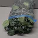 Dolicer 2 Packs 6FT Artificial Eucalyptus Garland, Faux Greenery Garland Hanging Fake Silver Dollar Eucalyptus Leaves Vines for Wedding Backdrop Arch Table Wall Party Home Decor