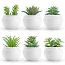 Der Rose Set of 6 Succulents Plants Artificial in Pots Small Fake Plants for Bedroom Aesthetic Living Room Shelf Bathroom Decor Office Desk Accessories