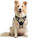 rabbitgoo Dog Harness No Pull with 2 Leash Clips, Adjustable Soft Padded, Reflective Oxford No Choke Pet Vest with Easy Control Handle for Medium Sized Dogs, Beige, M