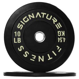 2PCS BalanceFrom 10LB Cast Iron Plate Weight Plate for Strength Training, Weightlifting and Crossfit, Standard or Olympic 