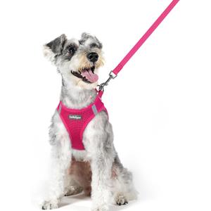 rabbitgoo Dog Harness and Leash Set, Step in Soft Light Puppy Vest, Breathable Mesh Pet Harness, Reflective for Safe Easy Walking, Rosa Red XL