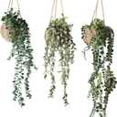3 Pack Mini Artificial Hanging Greenary Fake Hanging Plants in Basket for Wall Living Room Decor Bathroom Shelf Home Indoor