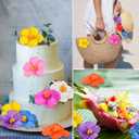 Hotop 24 Pcs Artificial Hibiscus Flowers Colorful Hawaiian Fake Flowers Faux Tropical Hibiscus Decoration for Luau Summer Party Decor DIY Crafts Cake Favors Supplies Table Centerpieces