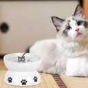 Vencer Cat/Small Dogs Slow Feeding Bowls, Raised Cat/Dog Food Bowl/Water Bowl,Elevated Cat Dog Dish,Pet Bowls for Cats or Small Dogs,VCB-004