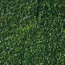 10X8FT Green Leaves Photography Backdrops Leaf Green Vertical Texture Backdrop Birthday Background for Birthday Party Seamless Photo Booth Vinyl Backdrop PCK41D