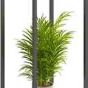 34" Tall Plant Stand Indoor, 2-Tier Modern Plant Shelf, Corner Flower Pot Holder Organizer for Living Room Balcony Patio Garden (Oak Grey)