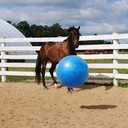 Horsemen's Pride 30-Inch Mega Ball for Horses, Blue