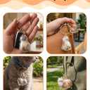 6 PCS Cat Hair Keepsake Keychain, Cat Fur Collector Pendant Necklace with Tweezers & Combs