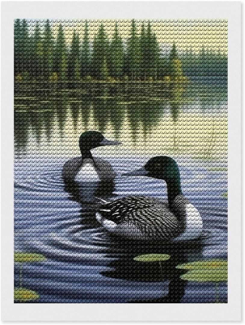 TEERMLLQWA Loons Swimming Lake Lily Pads Diamond Art Painting Art Paint by Numbers 5D Diamond Art Painting Kits DIY Home Office Wall Decor 12"x16"