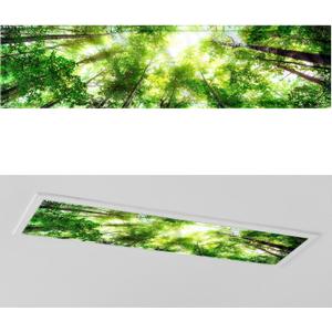 1 Pc 1 x 4 Feet Covers for Ceiling Lights Magnetic Ceiling Light Cover with 8 Magnets for School Classroom Home Office Drop Lamp Decor (Forest)