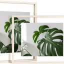 Egofine 11x14 Floating Frames Set of 2, Double Plexiglass Picture Frame, Made of Solid Wood Display Any Size Photo up to 11x14, Wall Mount or Tabletop Standing, Beige